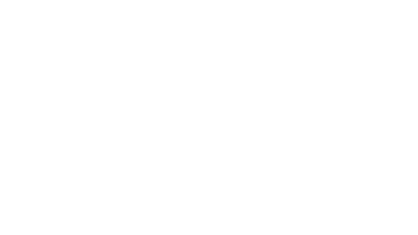 BrushBudz